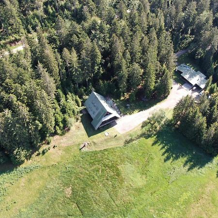 Edelfuchs-Lodge Бюлерталь Экстерьер фото